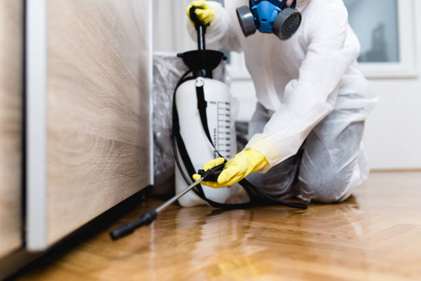Best Pest Control Near Me in Springfield, IL