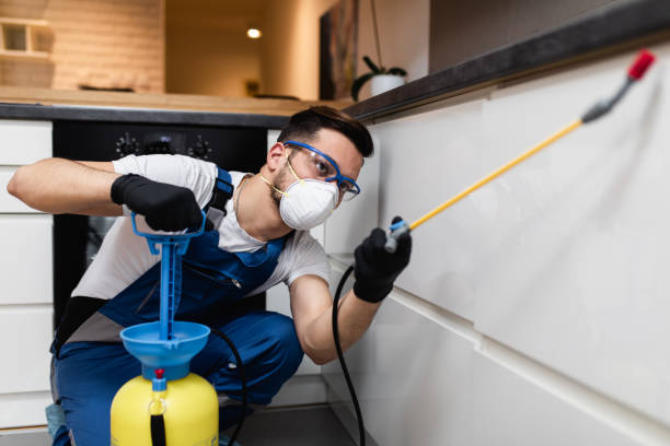 Best Emergency Pest Control  in Springfield, IL