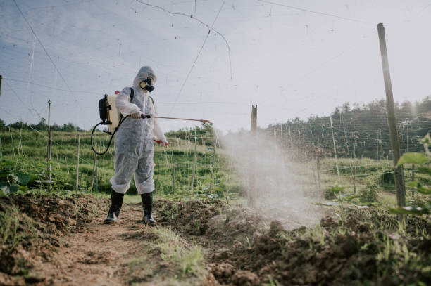Best Mosquito Control Services  in Springfield, IL