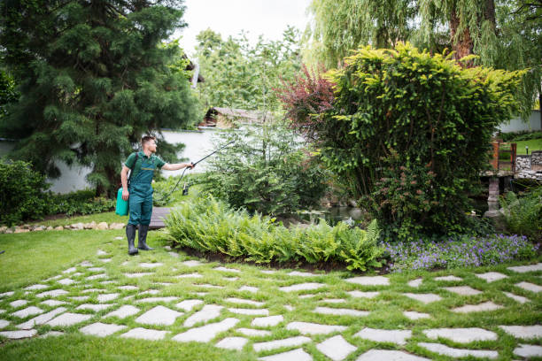  Springfield, IL Pest Control Pros