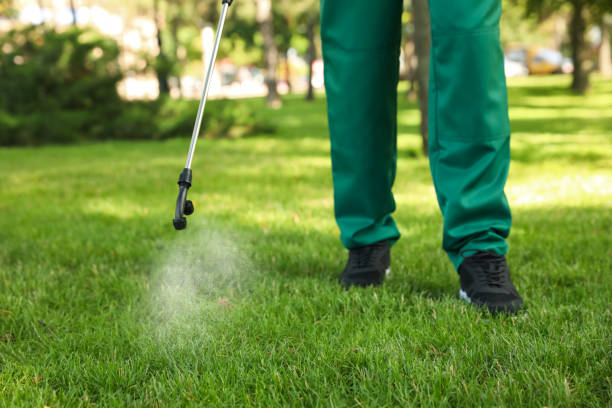 Best Flea Control Services  in Springfield, IL