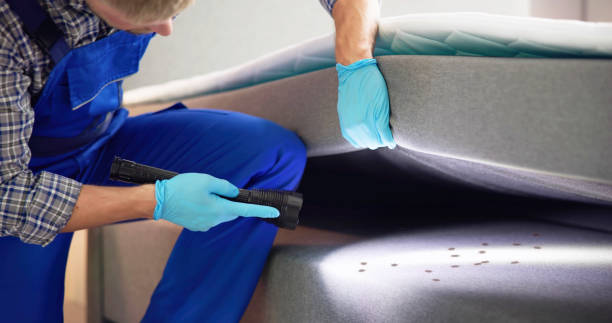 Best Best Pest Control Near Me  in Springfield, IL