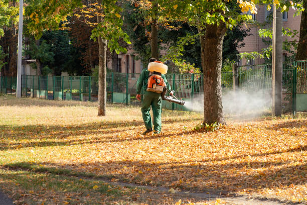 Best Wasp Removal Services  in Springfield, IL