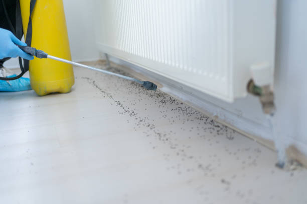 Best Pest Control Cost  in Springfield, IL