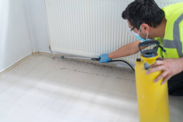 Best Pest Prevention Services  in Springfield, IL