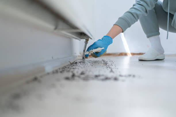 Professional Pest Control in Springfield, IL