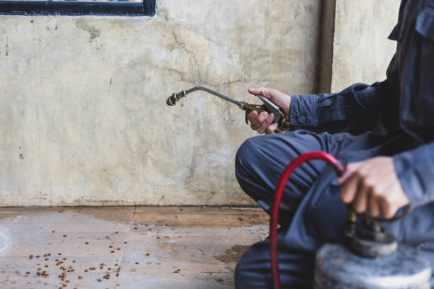 Best Affordable Exterminators  in Springfield, IL