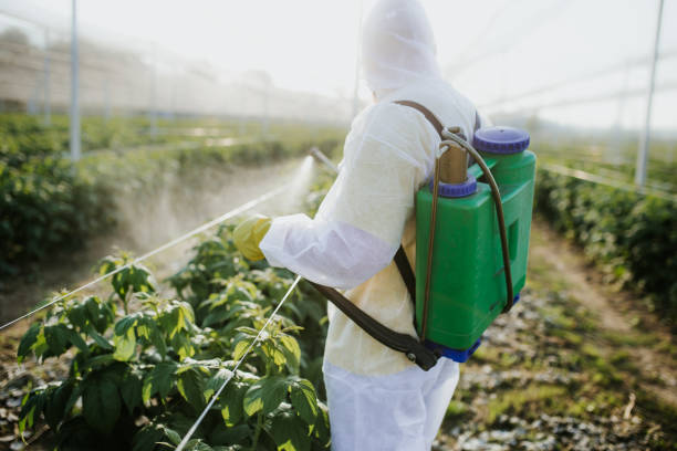 Best Best Pest Control Companies  in Springfield, IL
